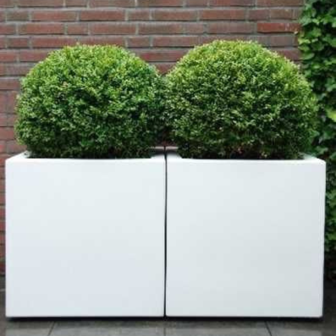 Rectangle Planter Pots (Without Plant) Pack of 2 Small